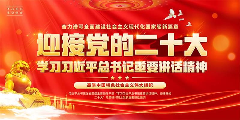 新乡市卫滨区武术协会“学习二十大.奋进新征程”倡议书