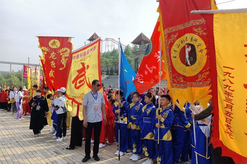 才华 (2)