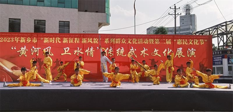精英岳家拳
